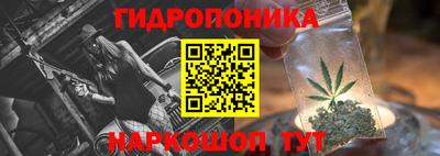 бошки Можга