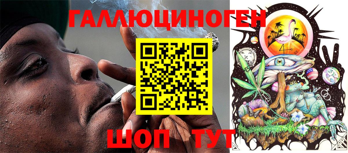 ГАШ Славянск-на-Кубани
