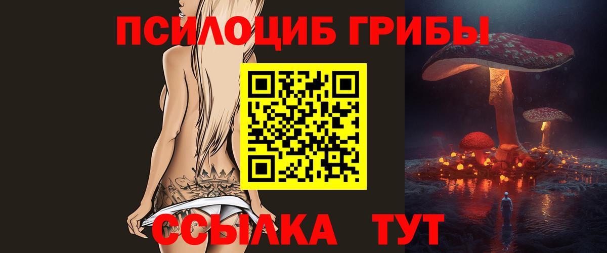 Славянск-на-Кубани  Псилоцибиновые грибы Cubensis  Вход с VPN 