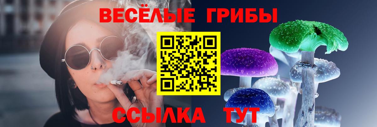 Галлюциногенные грибы Cubensis Славянск-на-Кубани